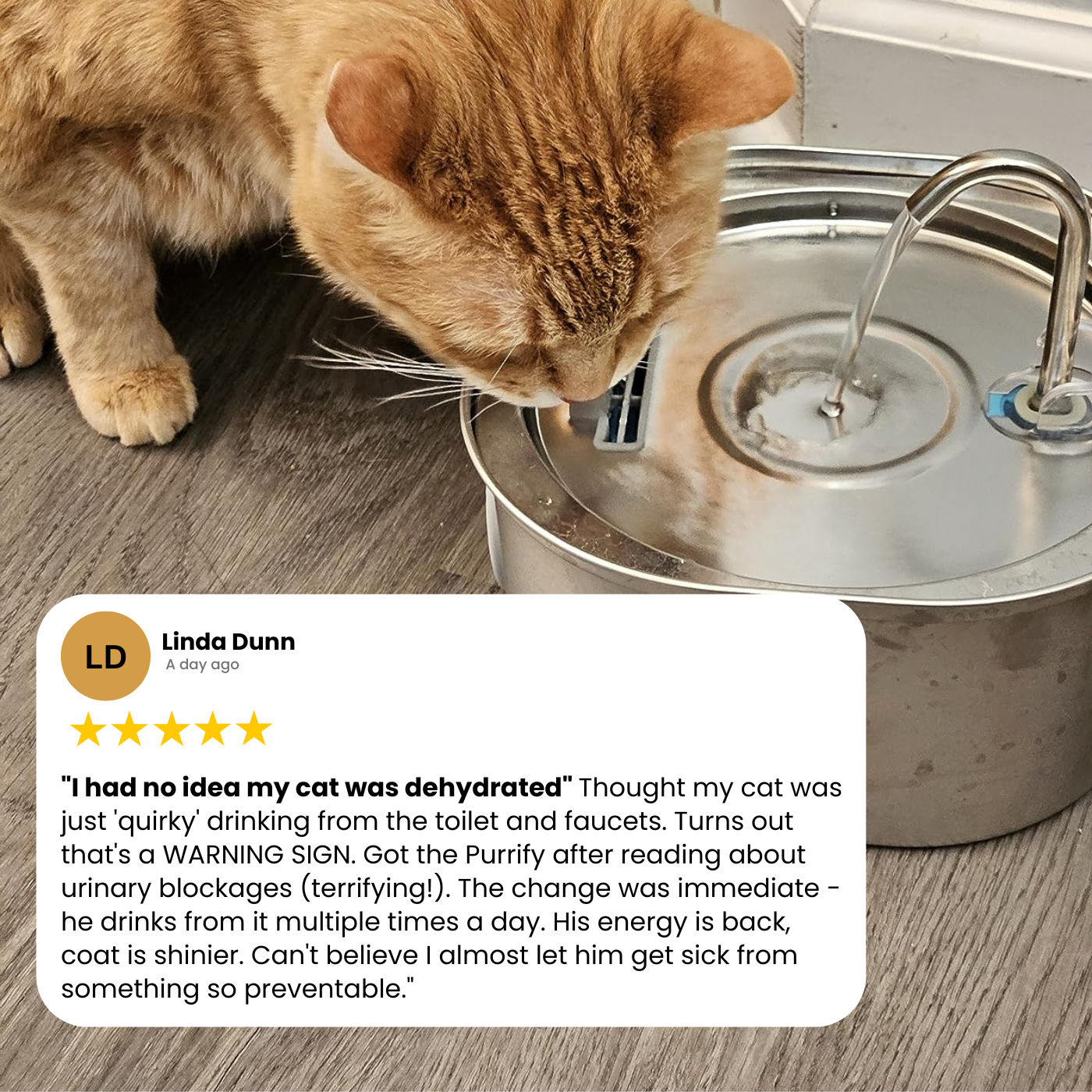 Clover Stainless Steel Water Fountain