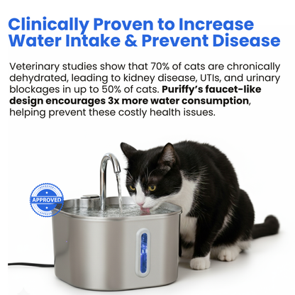 Clover Stainless Steel Water Fountain