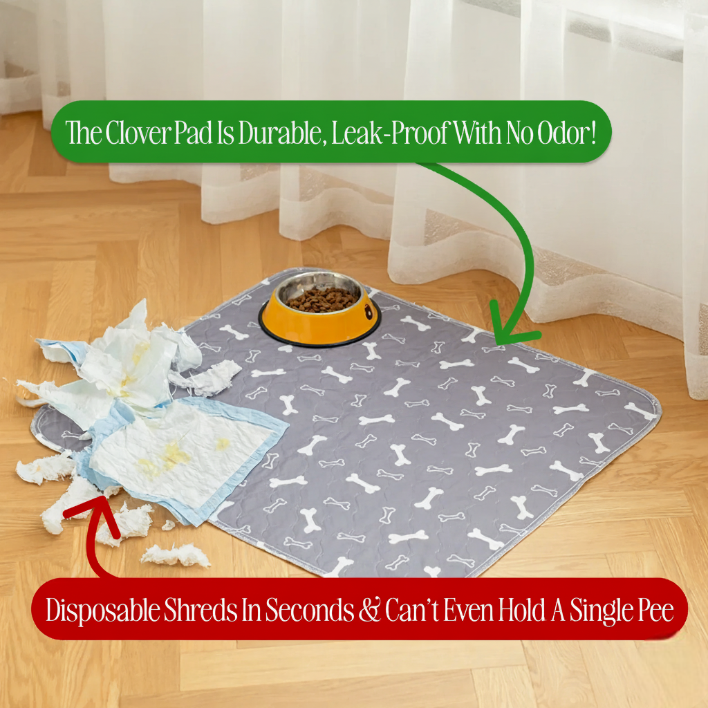 Prevent Pee Smells, Floor Damage, and Costly Cleanups with Clover