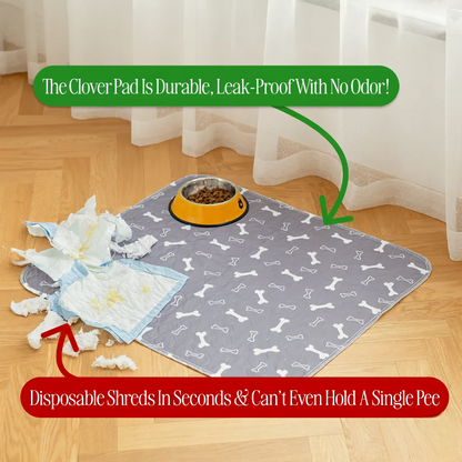 Prevent Pee Smells, Floor Damage, and Costly Cleanups with Clover