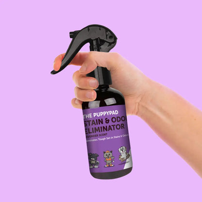 Clover Stain & Odor Eliminator